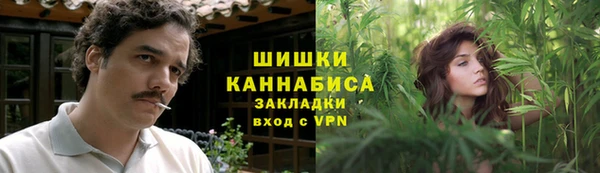 амф Горнозаводск