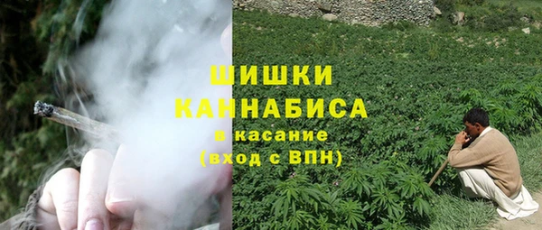 амф Горнозаводск