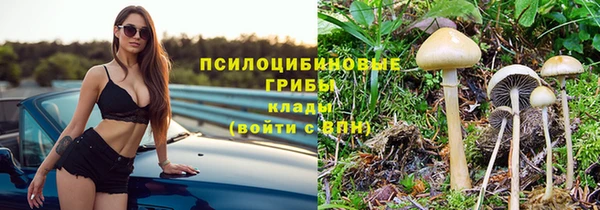 амф Горнозаводск