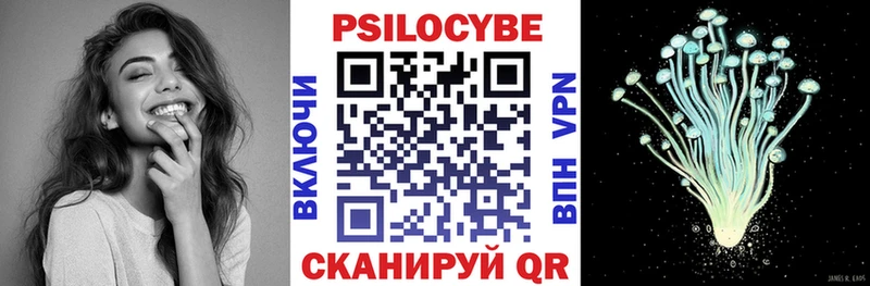 Галлюциногенные грибы Psilocybe  Дмитриев 